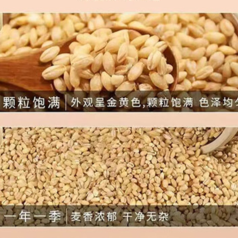 蒲臻善麦仁农家新鲜原料天然无杂锁住谷物本真鲜香500g高清大图