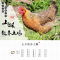 土皇后密云散养土鸡900g