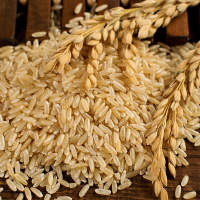 栗稻源 东北杂粮精品五常糙米1kg(五谷粗粮 含胚芽大米粥米伴侣 真空包装)免邮