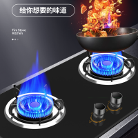 德国欧情(OUQING)OQ-A8燃气灶台式嵌入式家用网红天然气液化气煤灶多功能猛火大火力燃气双灶炉具猛火灶台液化气安装