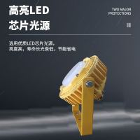 明特佳-Mintega FPD8503-L20 LED防爆平台灯 20W 黄色 (单位:套)