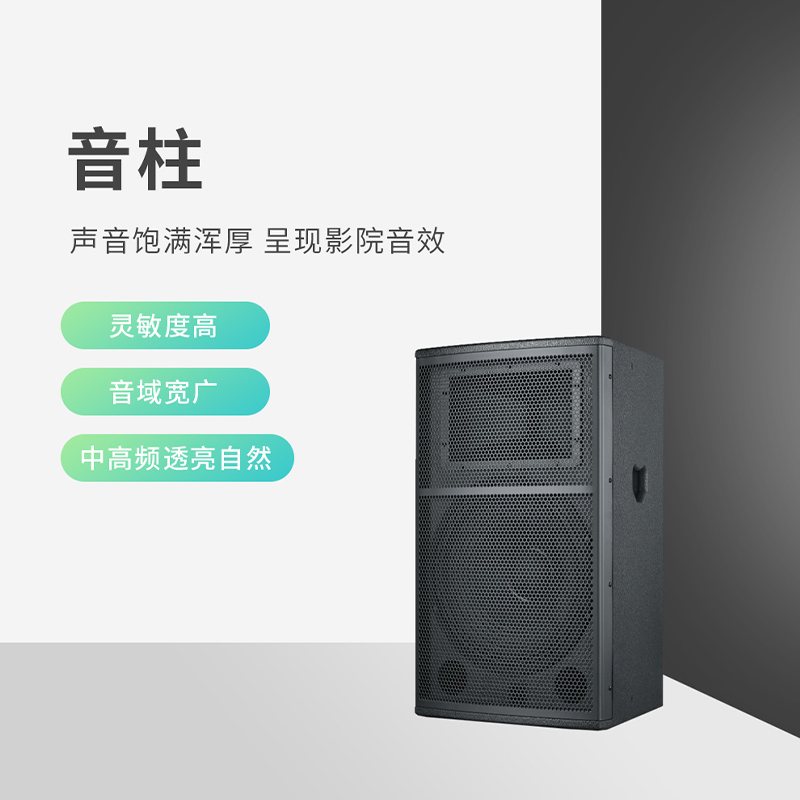 润普Runpu 会议音频扩声系统解决方案(有线手拉手麦克风套装+音响+调音台+音频处理器)RP-YXKSD850高清大图