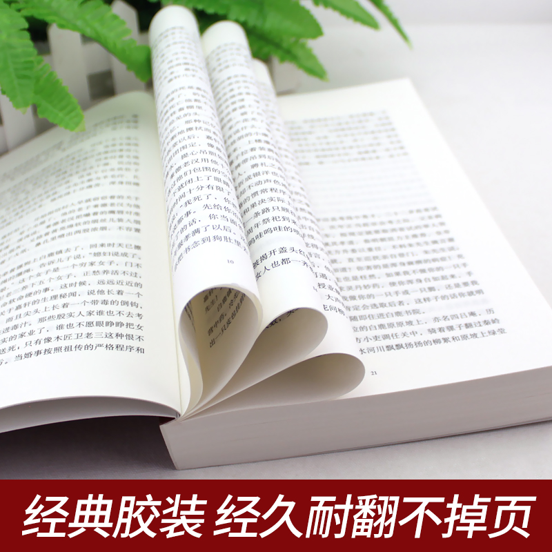 [正版]白鹿原 陈忠实原着无删减纪念版 茅盾文学奖获奖作品现当代青春文学小说书籍平凡的世界红高粱活着围城边城作家出版社高清大图