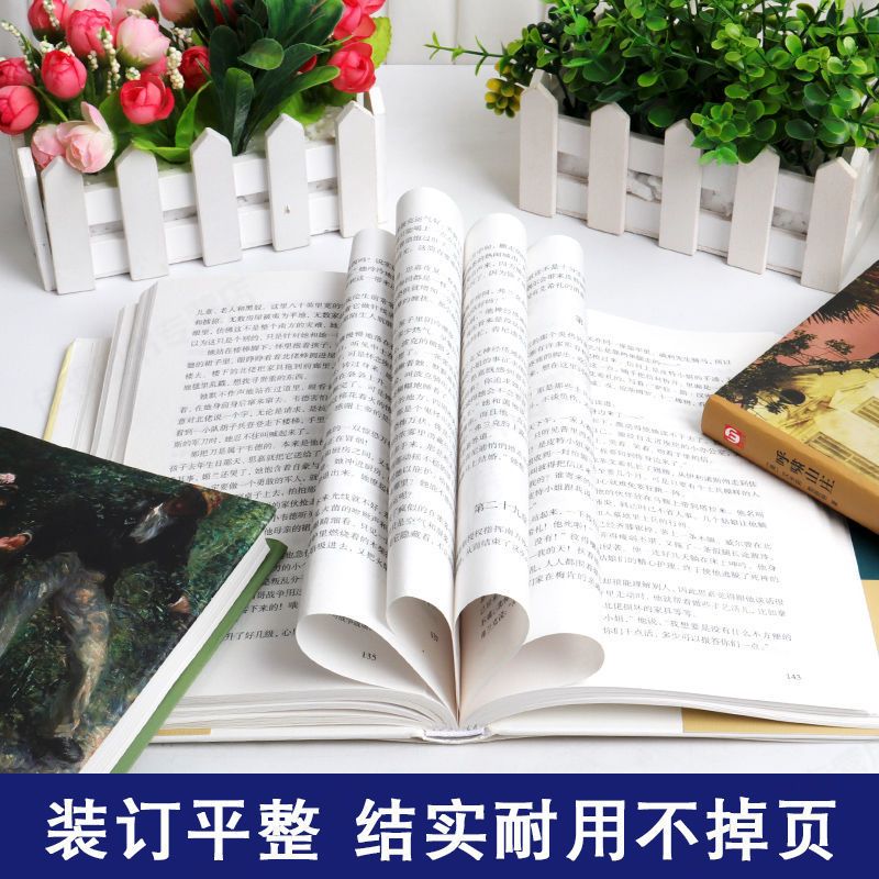 [全6册]世界六大名著 [正版]全6册傲慢与偏见简爱巴黎圣母院飘茶花女呼啸山庄原著中文全译本完整无删减世界文学名著小说青