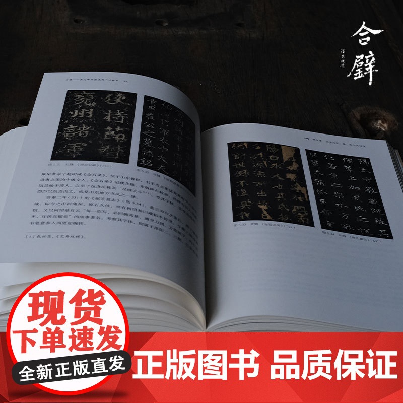 合璧 墓志中的南北朝书法体系(四海艺林) 200余幅碑刻图像系统化、理论化梳理南北朝隋朝书风的形成与发展 中国书法史研究高清大图