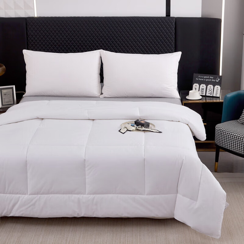 汉司家纺 HANSI-52 全棉防羽布 160*220cm 四季通用被芯 被子 1.00 件/条 (计价单位:条)白色高清大图