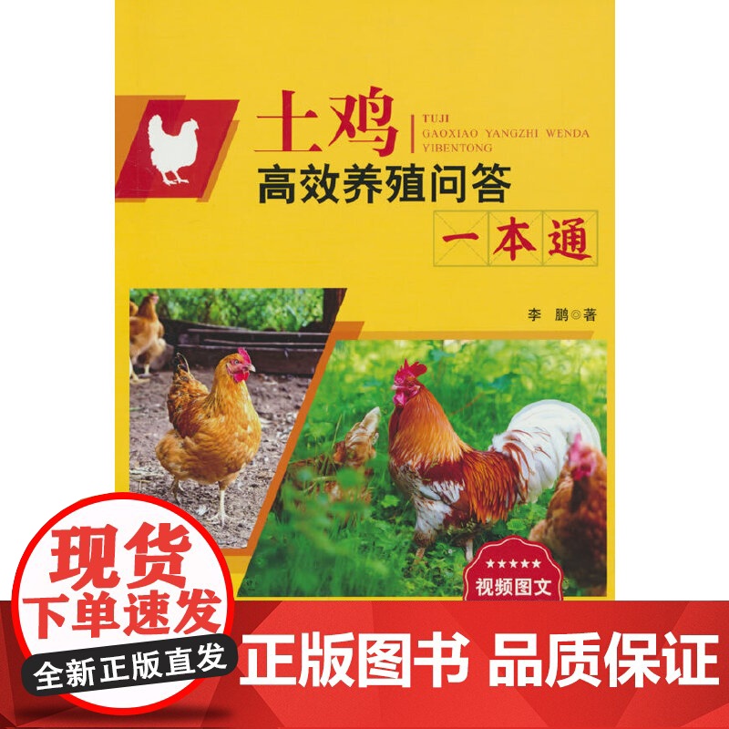 土鸡高效养殖问答一本通高清大图