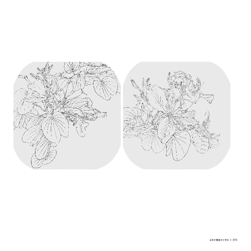 醉染图书百花百扇——花卉白描技法与赏析9787539343679高清大图