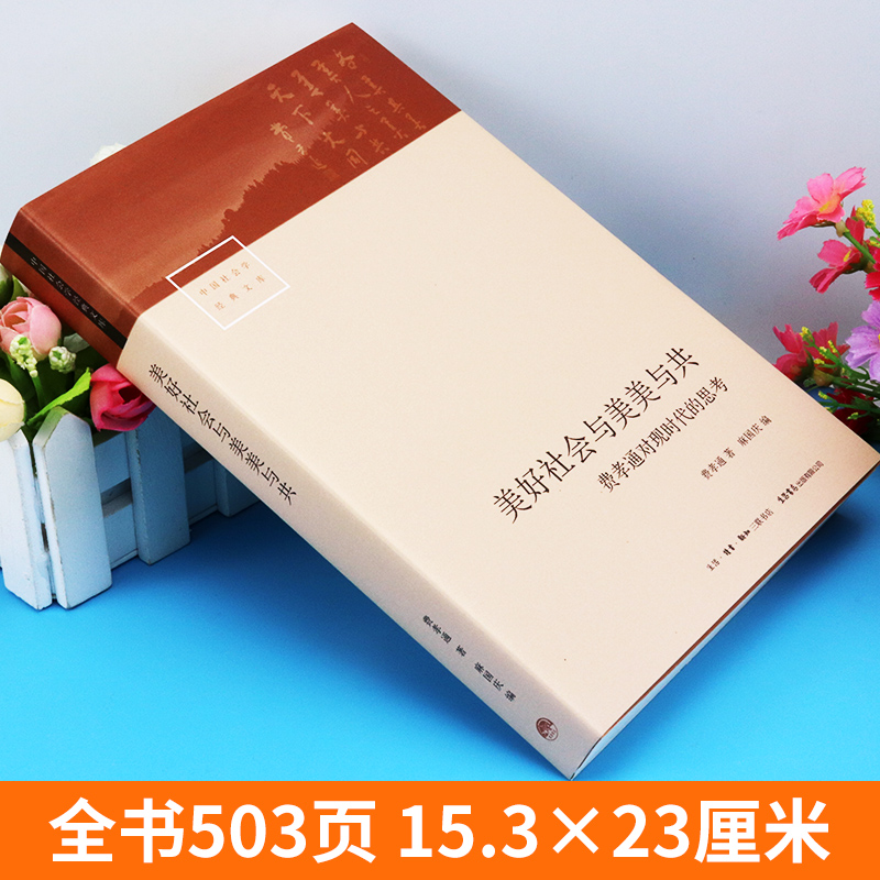 [正版] 中国社会学经典文库 美好社会与美美与共 费孝通对现时代的思考 费孝通 著 麻国庆 编乡土中国作者乡村城镇发展高清大图
