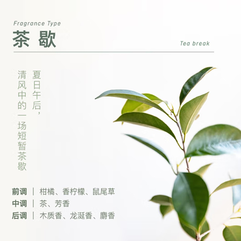 chillmore且悠 茶歇小憩礼盒(深层净透)高清大图