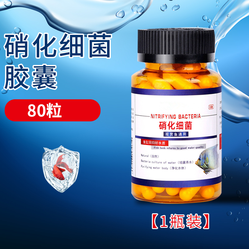 鱼缸净水宝蛋白棉祛除腥臭专用过滤棉材料净水剂硝化细菌系统
