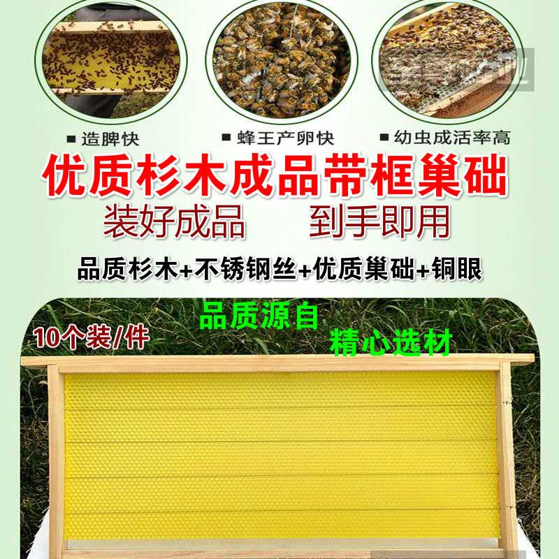 蜂巢框中蜂成品巢框 巢脾 意蜂带框巢础杉木巢框蜂箱专用养蜂工具 中蜂成品巢框(5个装)
