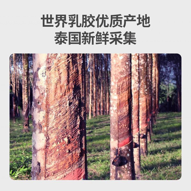 佳奥乳胶U型枕（天然乳胶）192402J0200MB3_高清大图