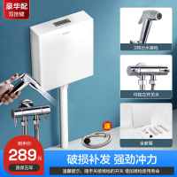 箭牌厕所冲水箱117家用卫生间蹲便器蹲坑节能挂墙式大冲力套装