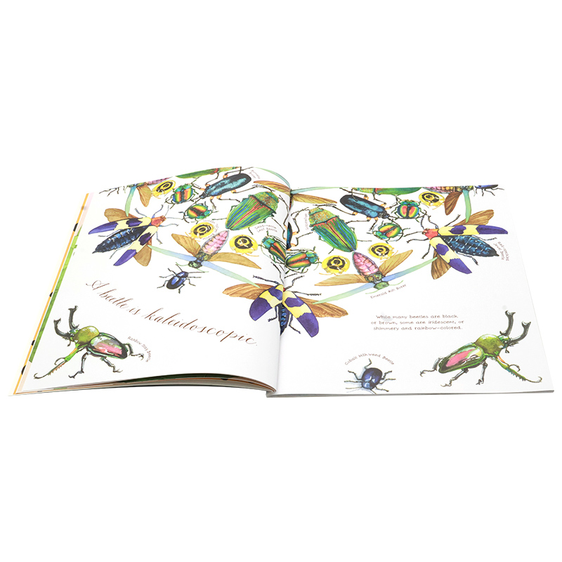 美丽成长生命科普绘本系列6册 [正版]美丽成长生命科普绘本系列6册英文原版绘本 A Seed Is Sleepy/A B高清大图