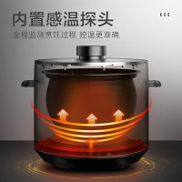 苏泊尔(SUPOR)电压力锅双胆球釜家用智能特有低温烹饪和发酵功能5L容量