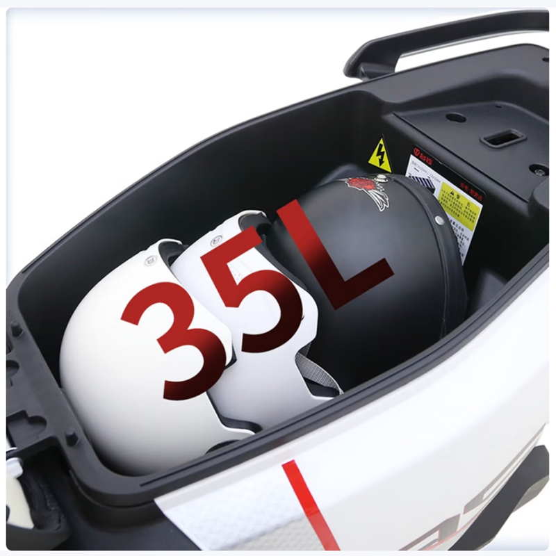 台铃(TaiLG) A1电动二轮自行车高清大图