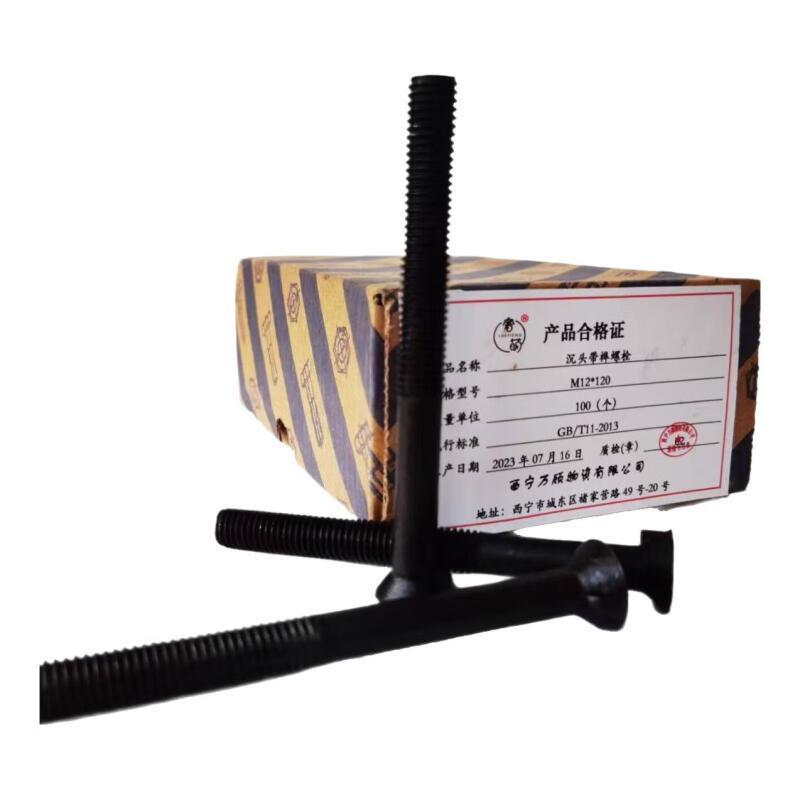 奢萌 沉头带榫螺栓 M12*120 个