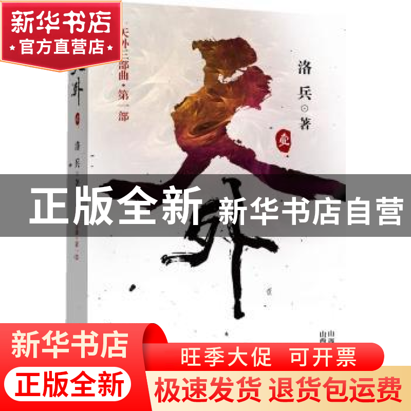 正版 天外:壹 洛兵著 山西人民出版社 9787203072300 书籍高清大图