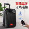 AIGO/爱国者 S55 广场舞音响 蓝牙移动便携户外拉杆音箱 K歌舞台会议教学摆摊扩音器喊话器喇叭 双咪版