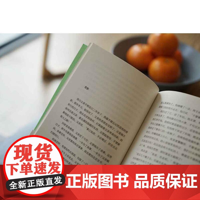 背影 朱自清三秦出版社高清大图