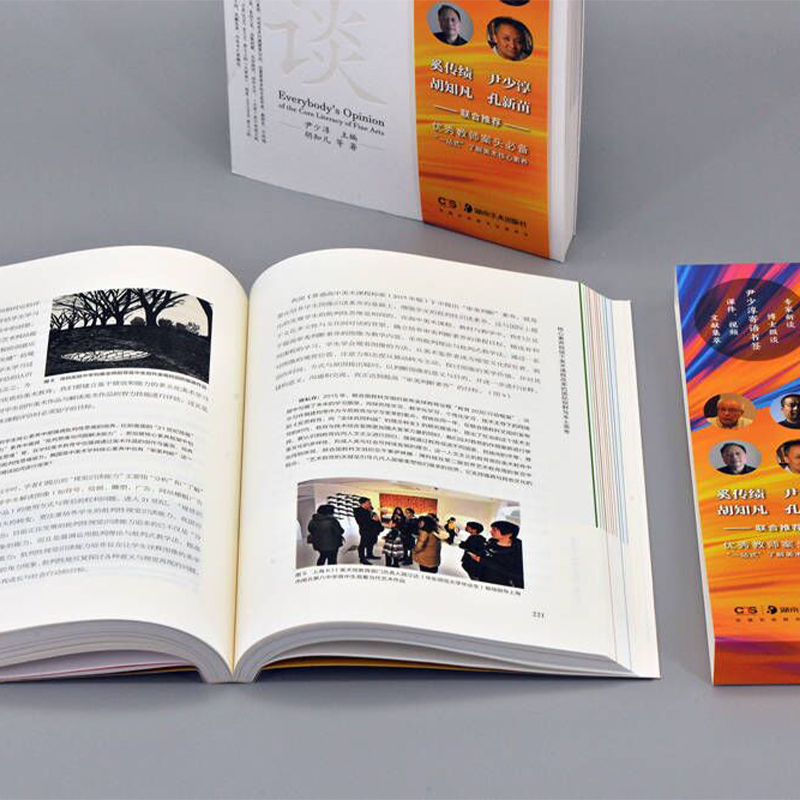 [正版]美术核心素养大家谈(修订版) 尹少淳主编 中外美术教学案头书 少儿童中小学生美术教学工具书 美术教育书籍 教学高清大图