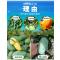 广西百色桂七芒果5斤