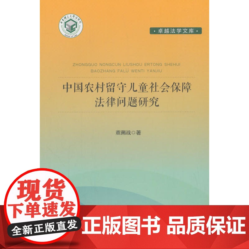 中国农村留守儿童社会保障法学文集_经典著作问题研究 董溯战 中国政法大学出版社 正版书籍高清大图