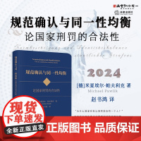 2024新书 规范确认与同一性均衡 论国家刑罚的合法性 【德】 米夏埃尔·帕夫利克 著 赵书鸿 译 法律出版社 9787