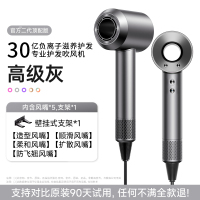 2025新款高速负离子电吹风机家用护发大风力学生宿舍静音速干风筒华强北风筒大风力护发不伤发 【高级灰+五风嘴】30亿水润负离子