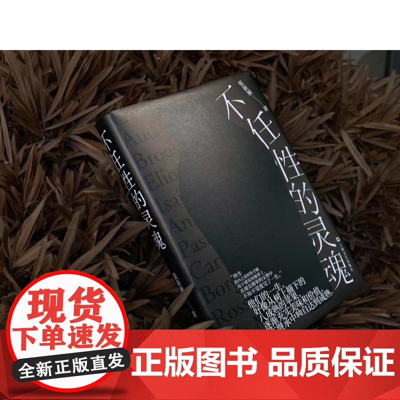 不任性的灵魂 鲁迅文学奖文津奖得主张新颖作品上海文艺出版社现当代文学另著读书这么好的事/三行集高清大图