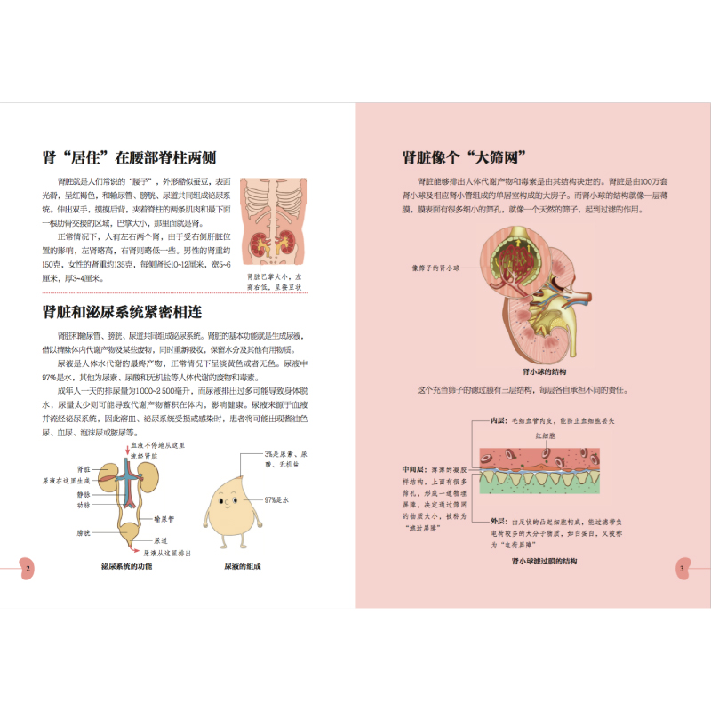 [醉染正版]护肾有方肾病居家饮食肾虚不是病佟彤中医养生中医调理书籍中医养生书籍大全养身书籍健康养生书籍养生保健书肾病食谱高清大图