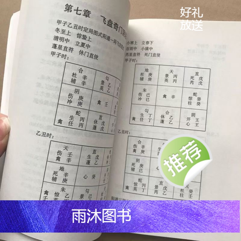 经典传统文化 飞盘奇门 254页 肖殿中高清大图