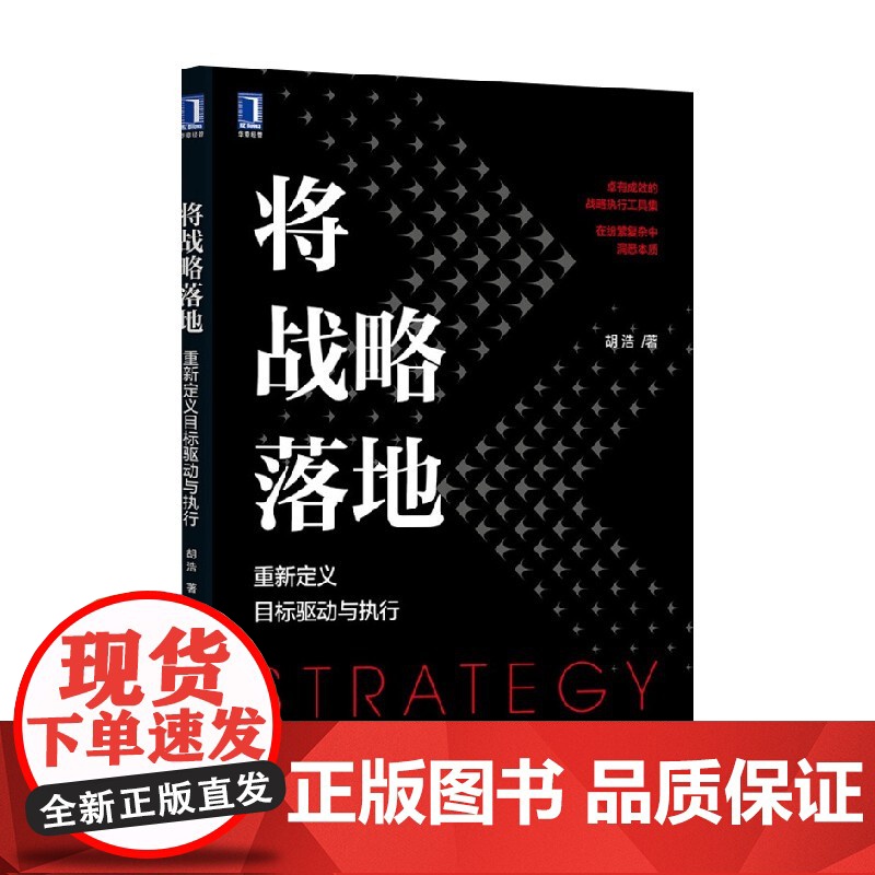 将战略落地 胡浩 著 管理高清大图