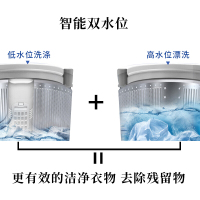 志高(CHIGO)XQB80-3801 8.5公斤全自动洗衣机 大容量 波轮智能洗涤 家用宿舍洗衣机 带风干功能
