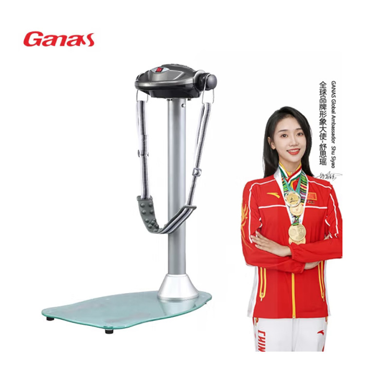 Ganas KY15-3003电动美腰机