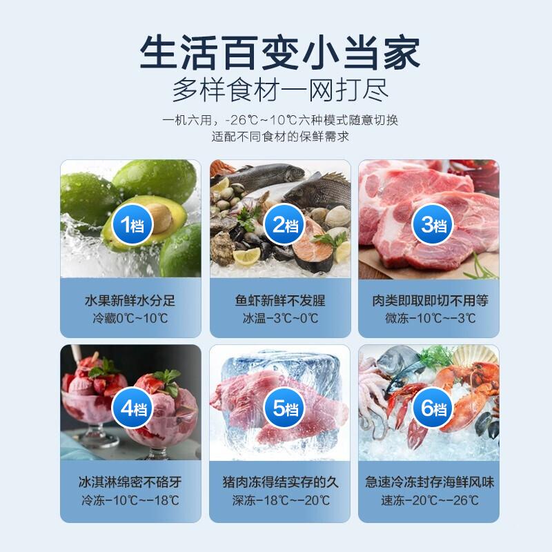 [重磅新款]Haier/海尔冰柜家用252 升无需除霜一级能效全冷冻单温大冷柜 BC/BD-252HM可装350斤肉