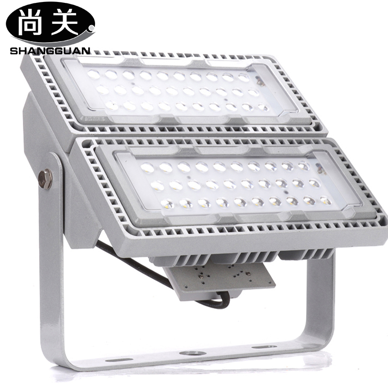 尚关(SHANGGUAN)LED 泛光灯(投光灯) SQ-Z18 100W