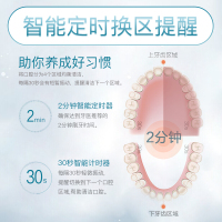 松下(Panasonic)电动牙刷成人通用声波震动情侣系列多种模式组合软毛充电式 EW-DC12