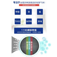 绿牌吸味极炭500g
