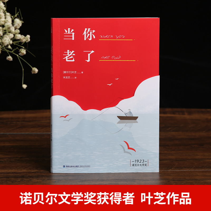 [正版]诺贝尔文学奖作品当你老了 叶芝诗集书籍现代诗歌名家精选集 外国诗歌散文书籍 书 唯美文学经典排行榜散文诗集高清大图