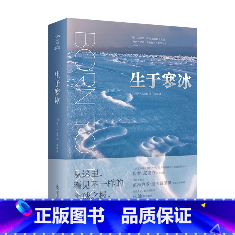 生于寒冰 【正版】生于寒冰 世界极地科普摄影 当代摄影大师保罗·尼克伦15年极地探险,精选171幅摄影大片,记录正在