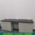 铭威盾全钢实验台钢木PP边台柜试验台化验室工作台实验室桌操作台定制（每米单价） 深色全钢实验边台L*750*800mm