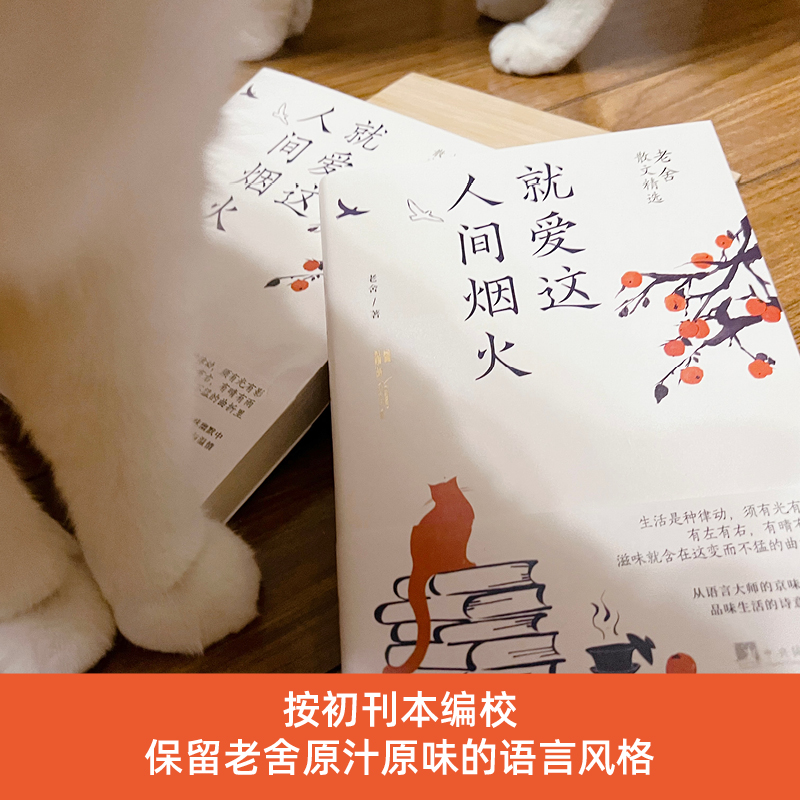 [正版] 就爱这人间烟火:老舍散文精选(世间幸亏有过老舍。从语言大师的京味幽默中,品味生活的诗意与温情) 图书籍高清大图