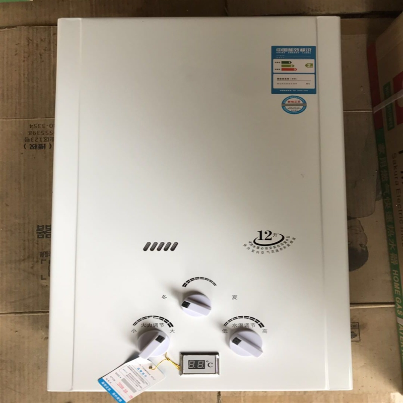 家用天然气热水器恒温燃气热水器煤气热水器液化气热水器12l直排式