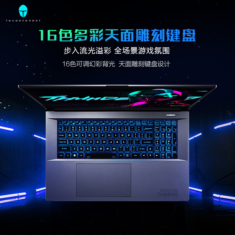 [13代新品]雷神911Plus2代游戏本13代i5-13500H/16G/1T固态/RTX4050/240Hz 笔记本电脑/17.3英寸吃鸡发烧游戏设计师手提电脑 定制版