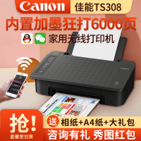 佳能TS308打印机家用办公彩色喷墨无线wifi照片小型文档迷你加墨连供打印机 标配