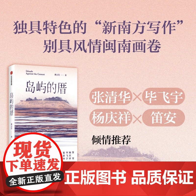 2024豆瓣年度书单]岛屿的厝 龚万莹 著 中国现当代文学 中信出版社高清大图