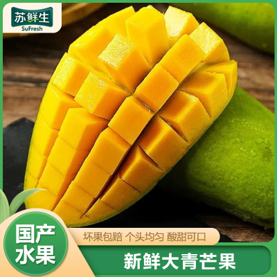 [苏鲜生] 新鲜大青芒 带箱9斤装 大果 单果500g+ 整箱新鲜现摘热带时令水果甜心芒应季芒果