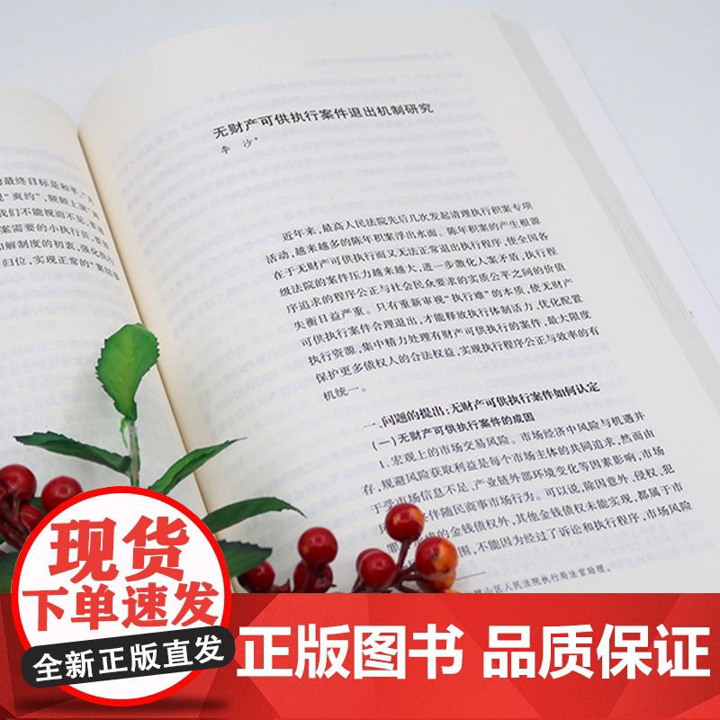 D正版 基本解决执行难理论探索与实务指引 杨临萍主编 法律出版社 执行实践经验实务指引执行改革审判实务高清大图